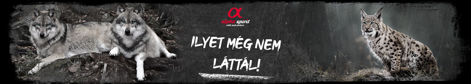 Online termékkatalógusunk segít, hogy jobban megismerkedhess az Alpha Spirit eledelekkel.