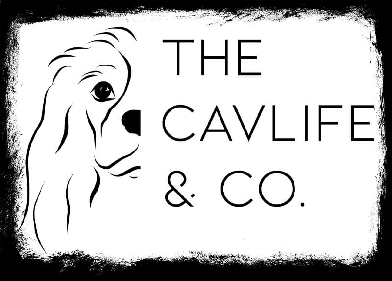 Alpha Spirit viszonteladó - The Cavlife & Co. - Barf Shop / Pet Butique